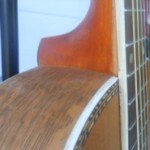 12 fret guitar